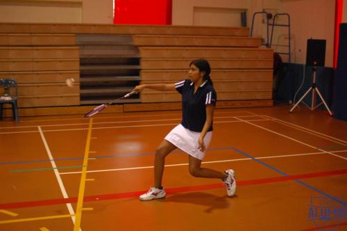 Badminton_2006-16
