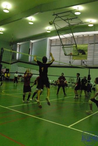 Volleyball_2007-17
