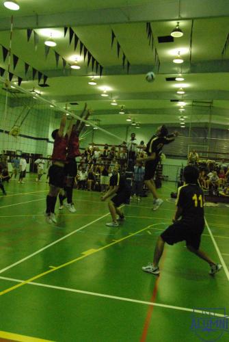 Volleyball_2007-19