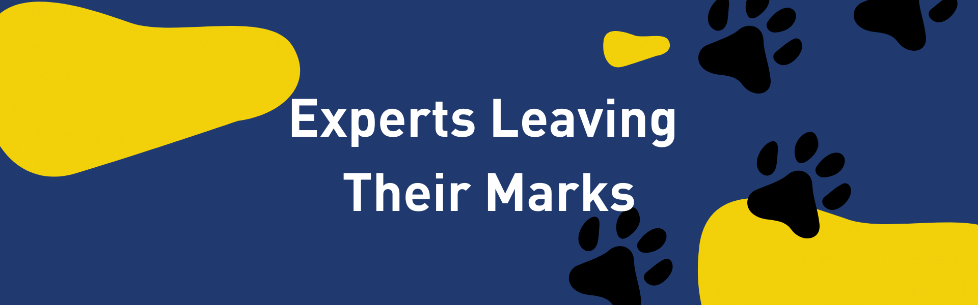 ISKL - EXPERTS LEAVING THEIR MARKS